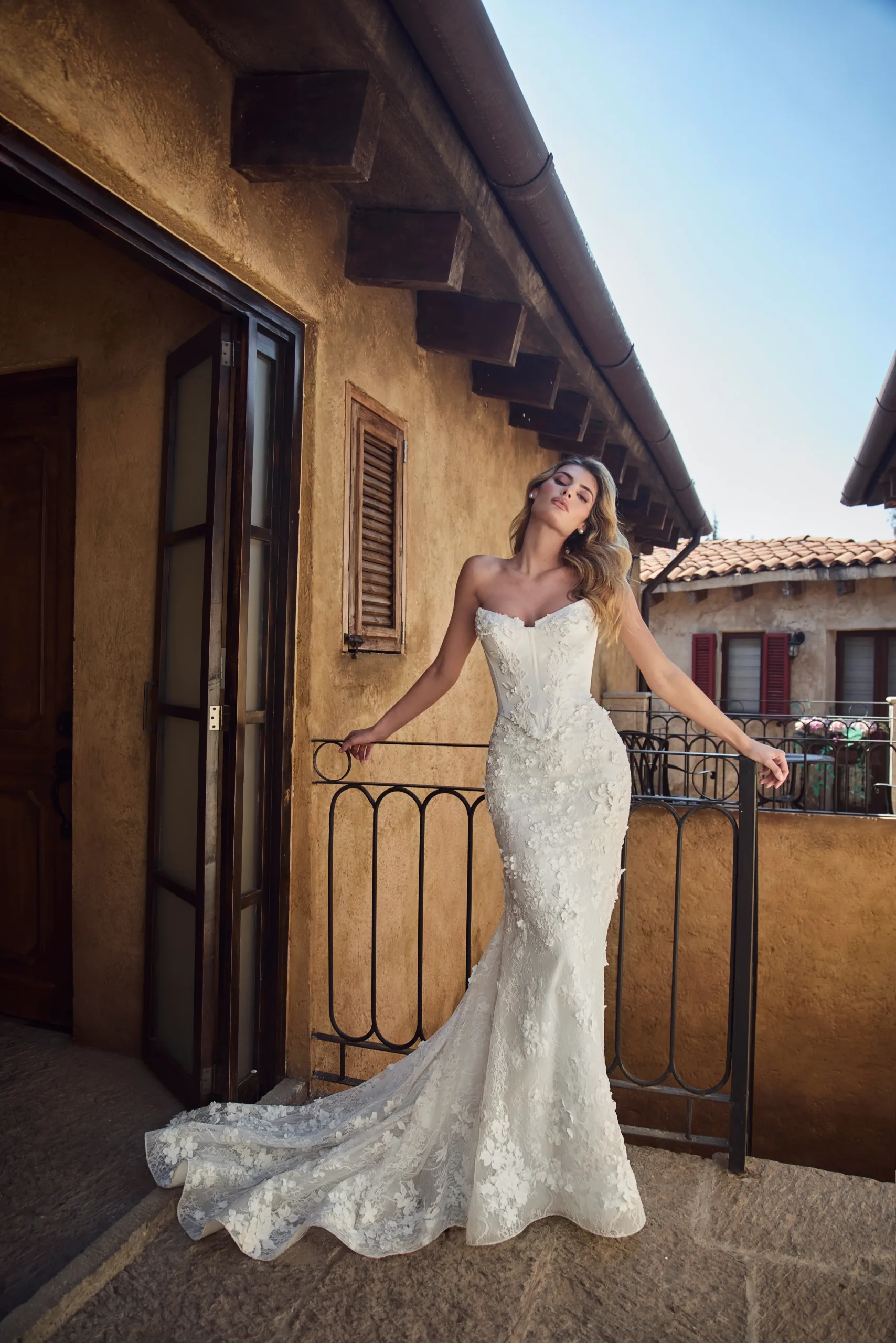 Calla Blanche Arietta - Image 2