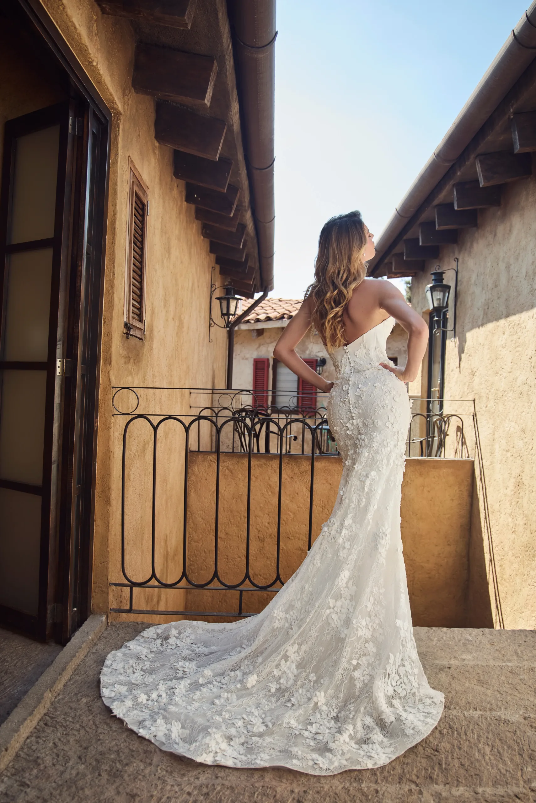 Calla Blanche Arietta - Image 3